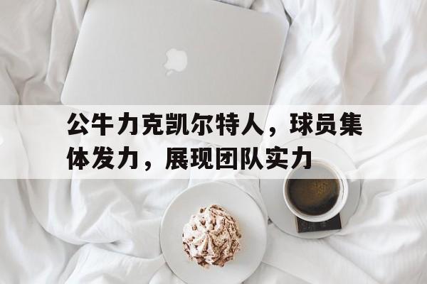 公牛力克凯尔特人，球员集体发力，展现团队实力的简单介绍